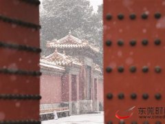 故宫可能是春节最热门景点