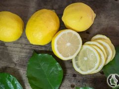 柠檬的功能与浸染 想不到常吃它竟能减肥