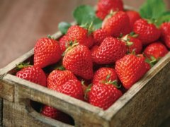 春季草莓万万别多吃 草莓吃多了易患3种疾病