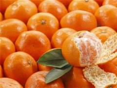 2020橘子价值多少钱一斤