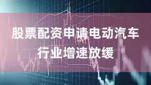 股票配资申请电动汽车行业增速放缓